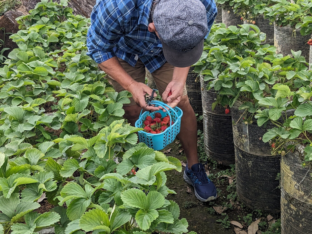Cerita Bandung-万隆必去景点