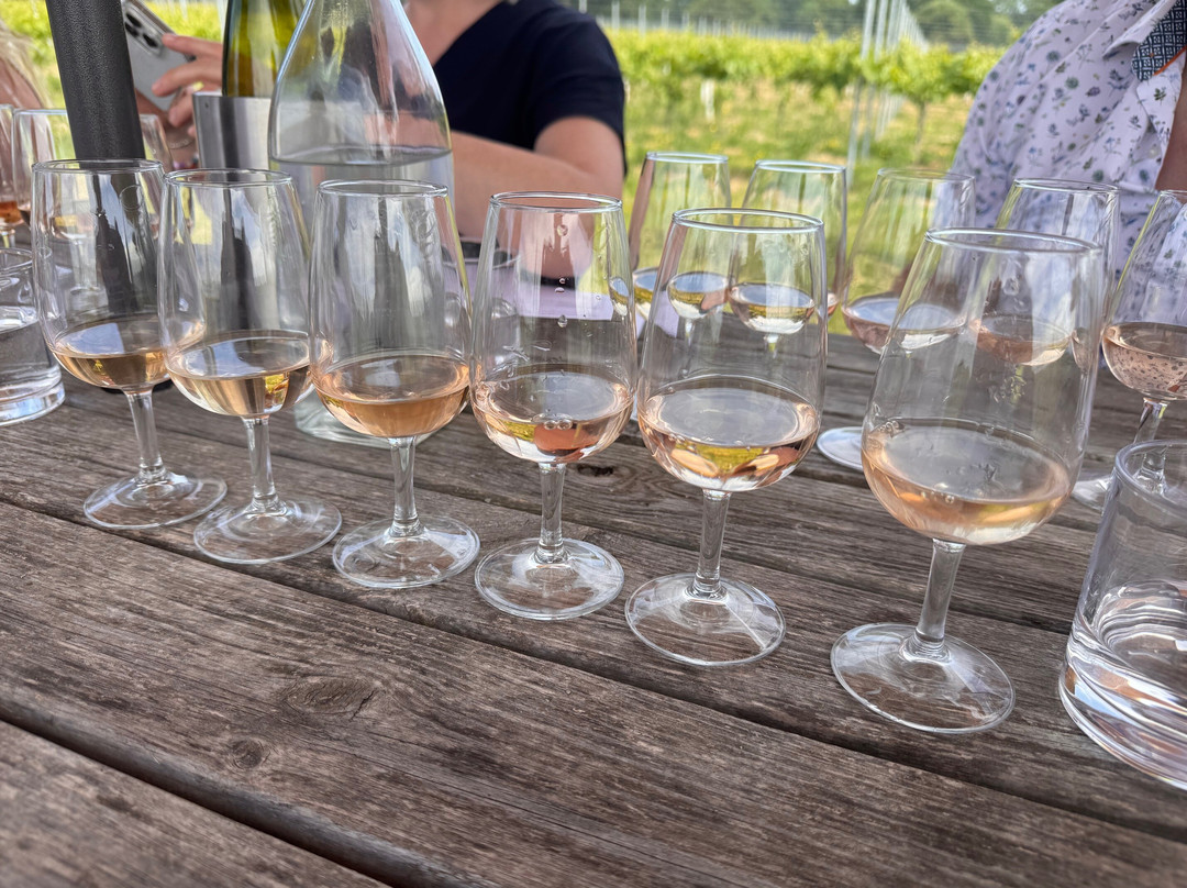 Wayfarer Wines景点图片