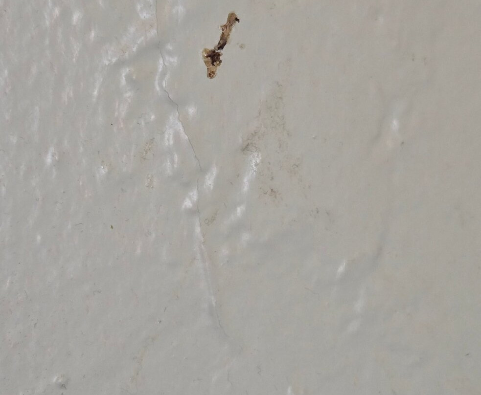 Canyon Motel & RV Park主图