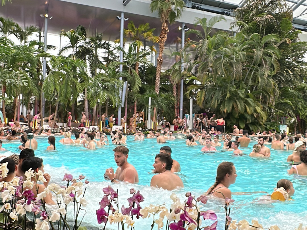 Therme Bucuresti景点图片