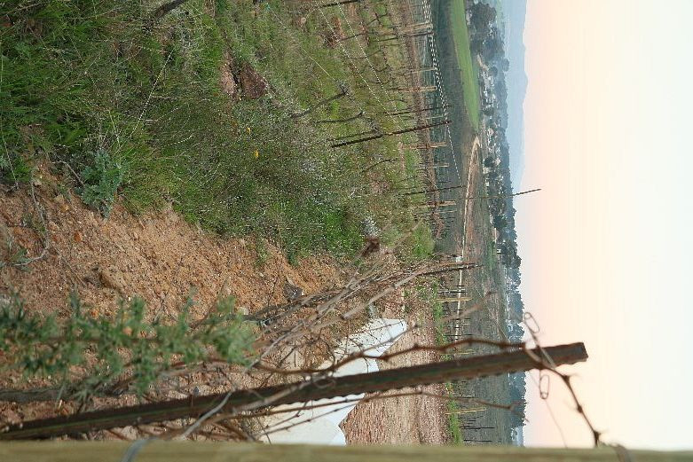 Luddite Wines-Botrivier必去景点