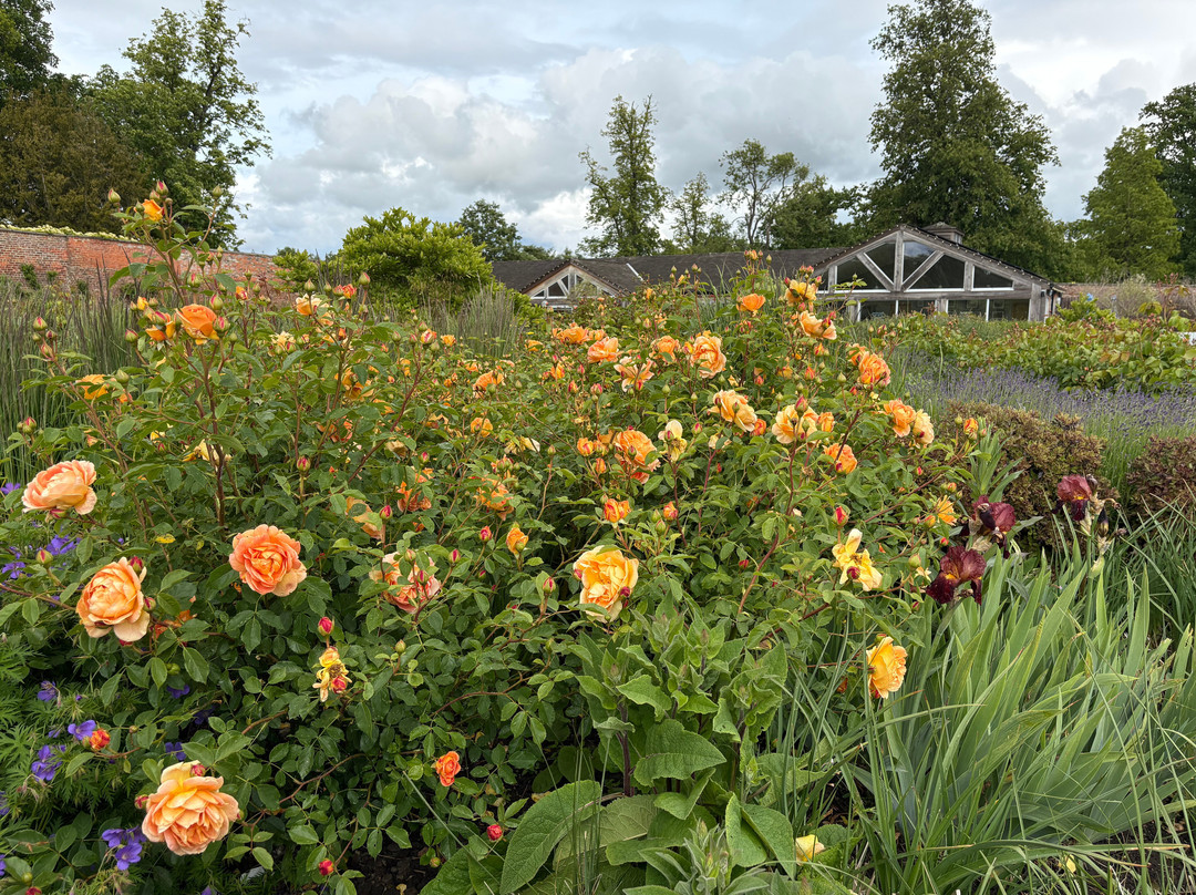 The Gardens, Wynyard Hall-Billingham必去景点