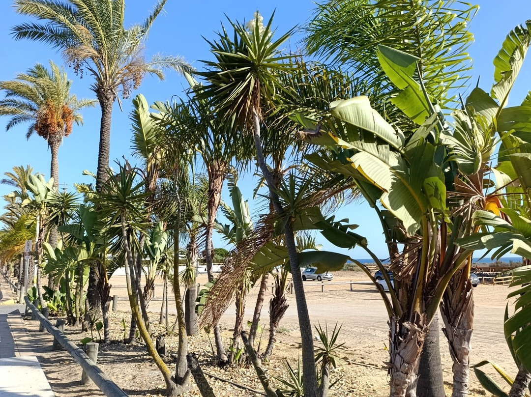 Playa de Mazagon-马扎刚必去景点
