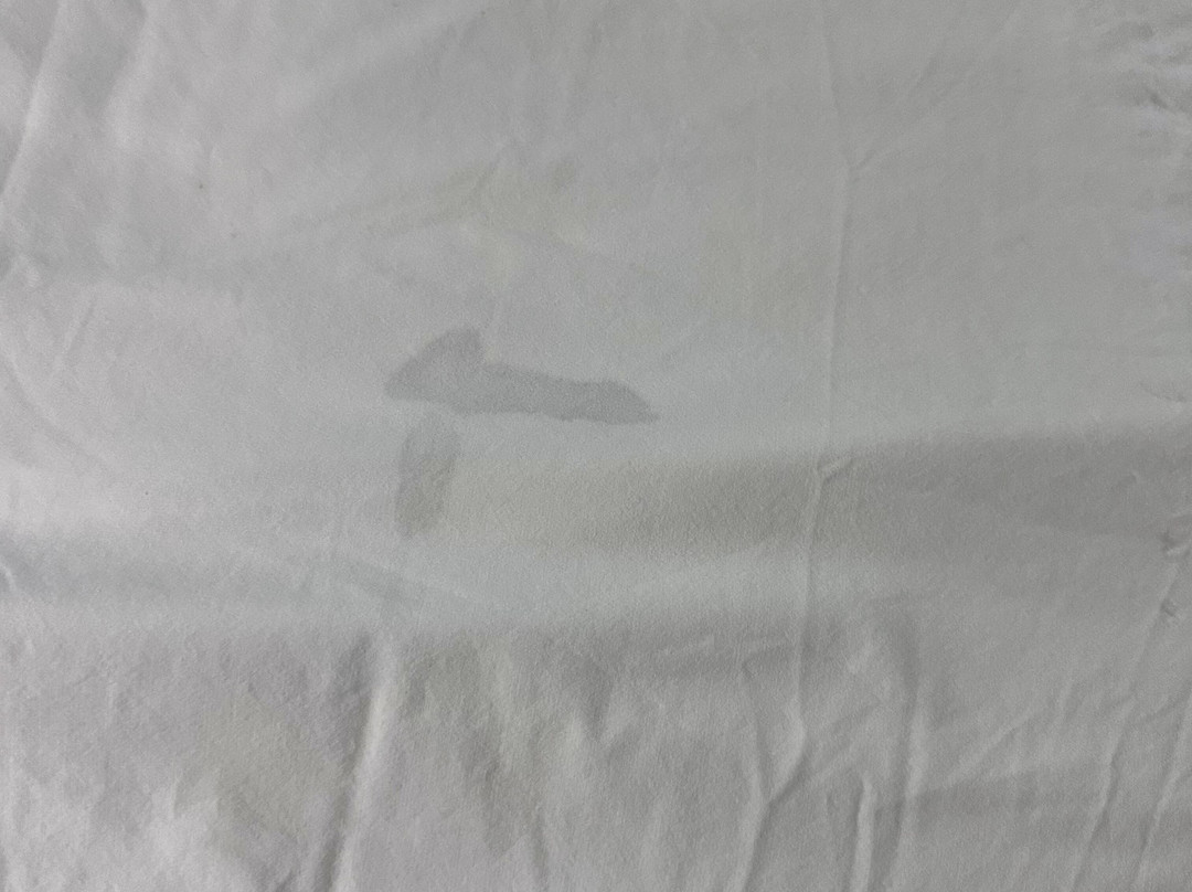 Baymont by Wyndham Cornelia主图