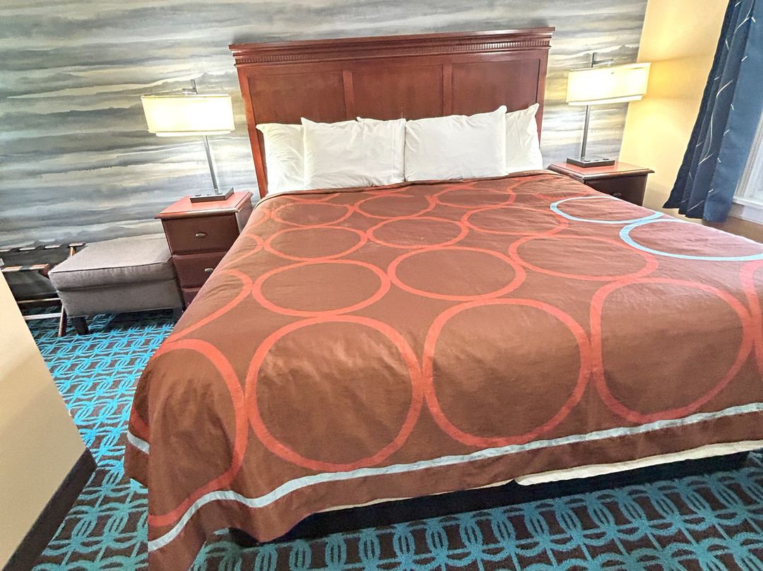 维雷治汽车旅馆主图