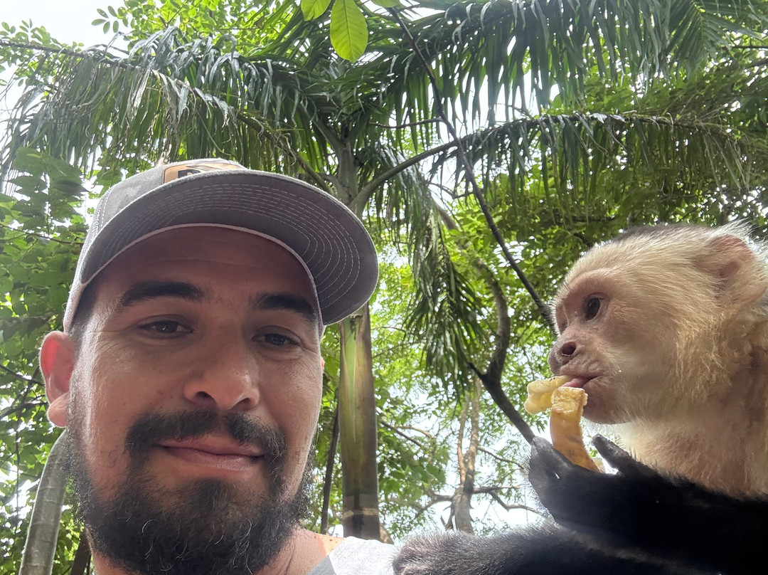 Mango's Adventures景点图片
