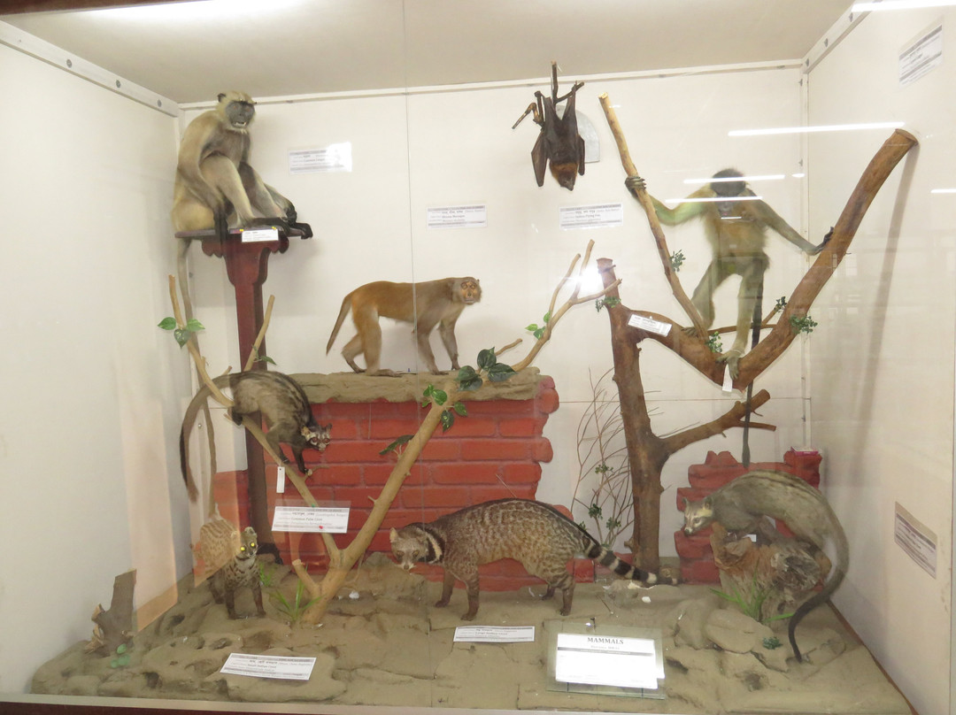 Padma Bridge Museum