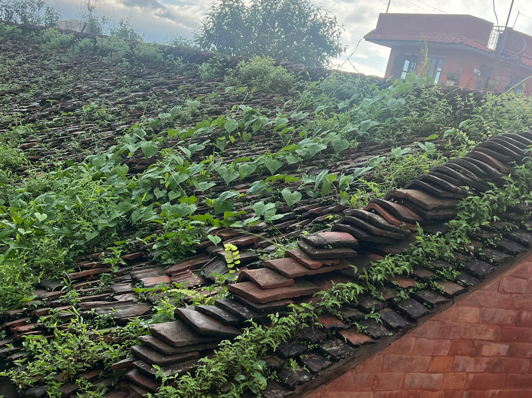 昌古纳拉扬-Changunarayan必去景点