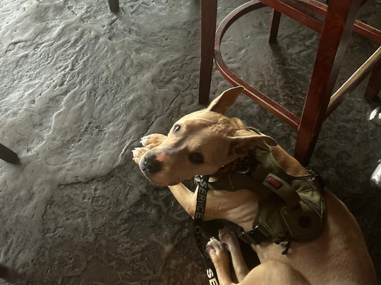 River Spirit Casino Resort主图