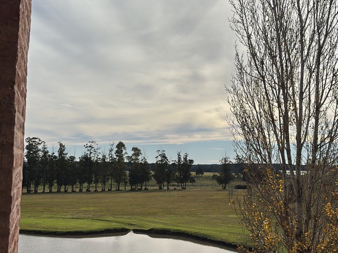 Regency Park Hotel主图