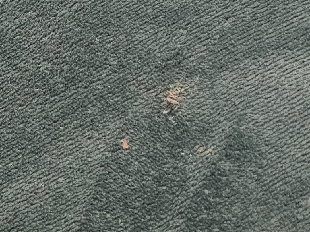 Brayford Guest House主图