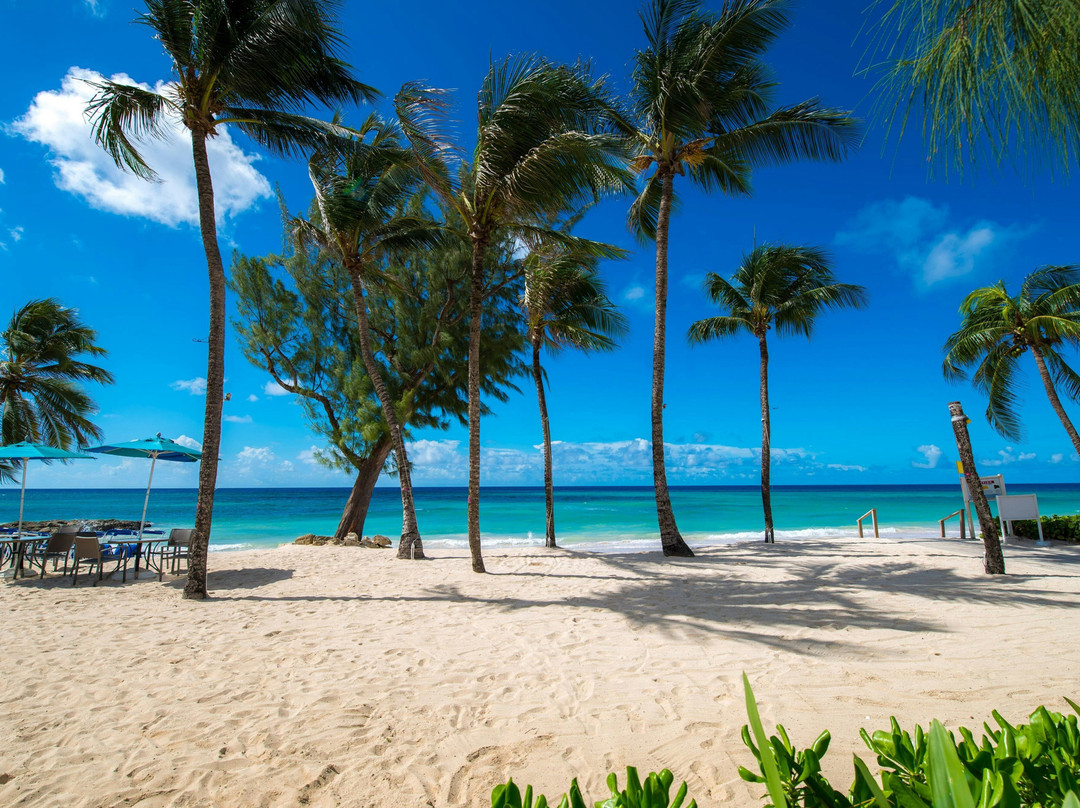 Turtle Beach by Elegant Hotels – All-Inclusive主图