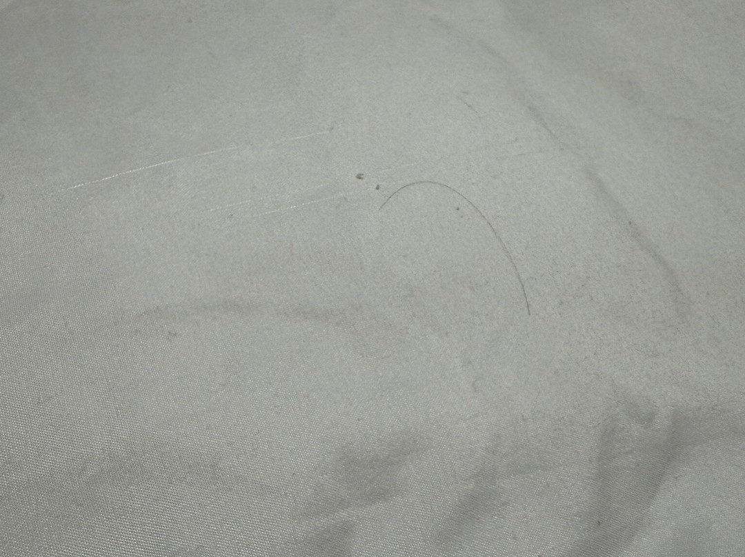 克里斯蒂安堡／布莱克斯堡温德汉姆麦克罗特酒店主图