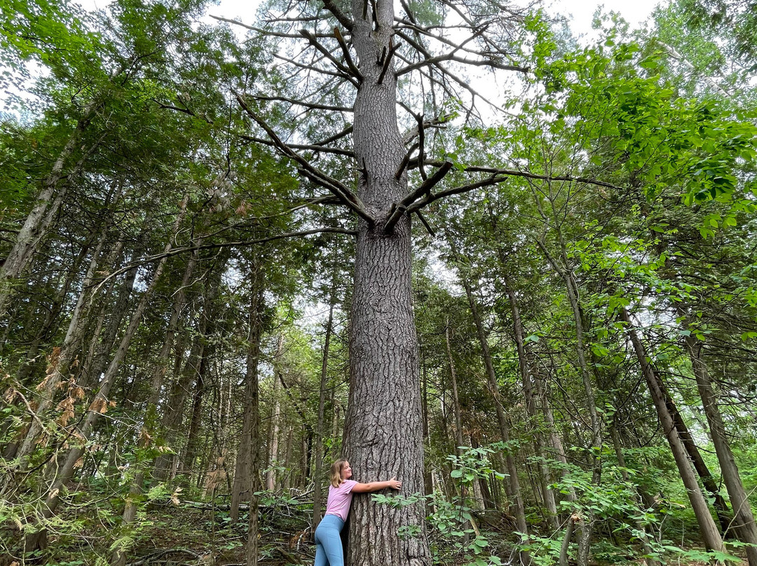Emily Tract-Omemee必去景点