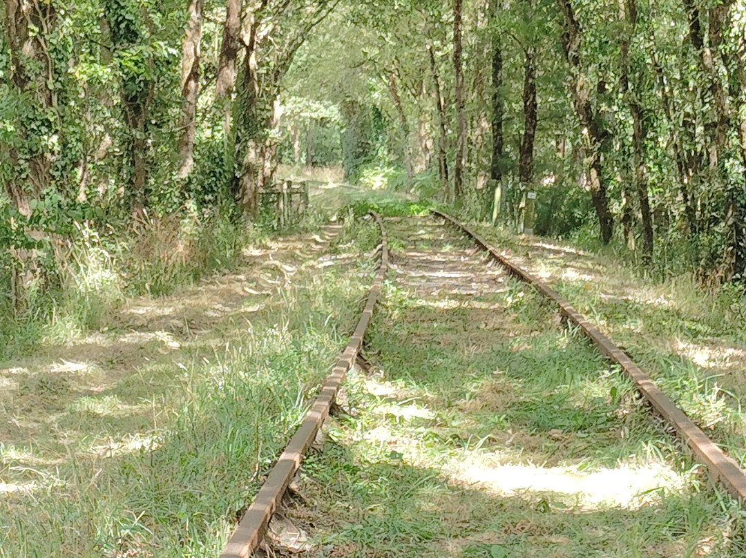 Velo-Rail-Commequiers必去景点