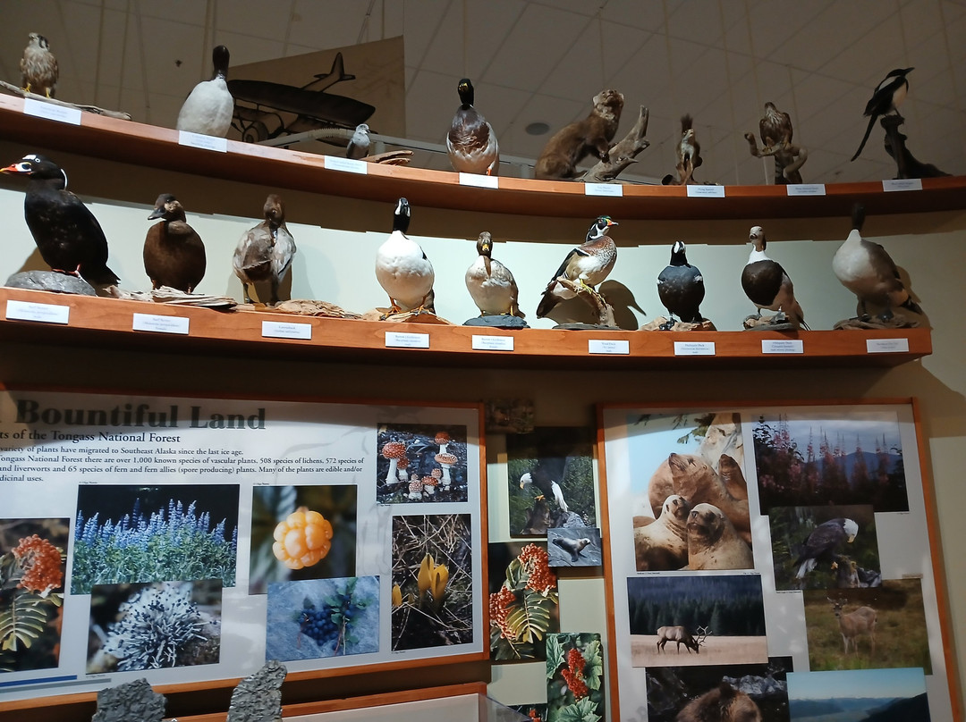 Wrangell Museum-Wrangell必去景点