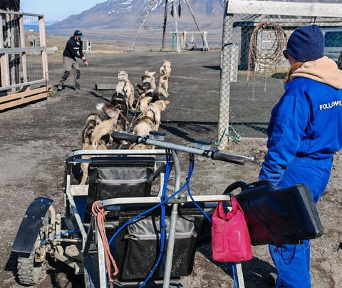 Basecamp Explorer Spitsbergen-朗伊尔城必去景点