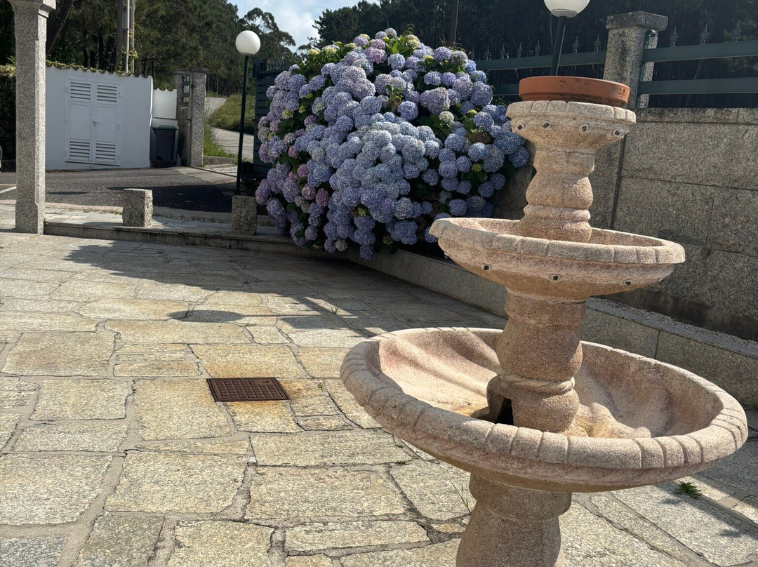 Hotel Duerming San Vicente主图