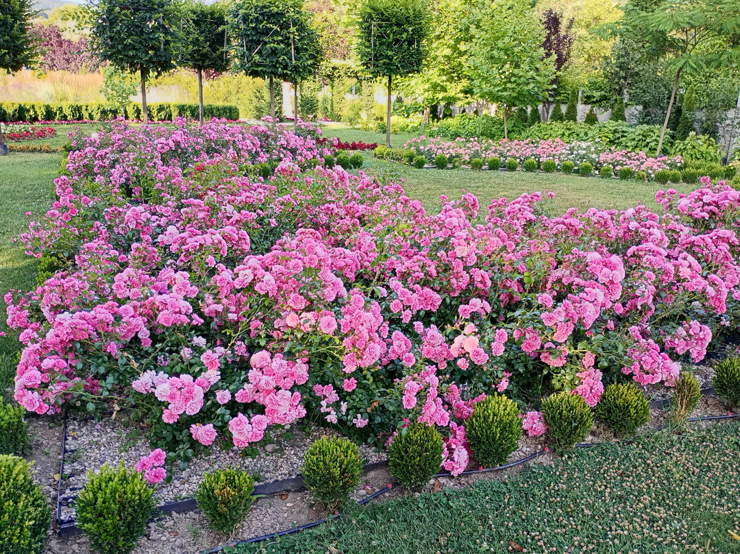 I Giardini di Zoe-Banpotoc必去景点