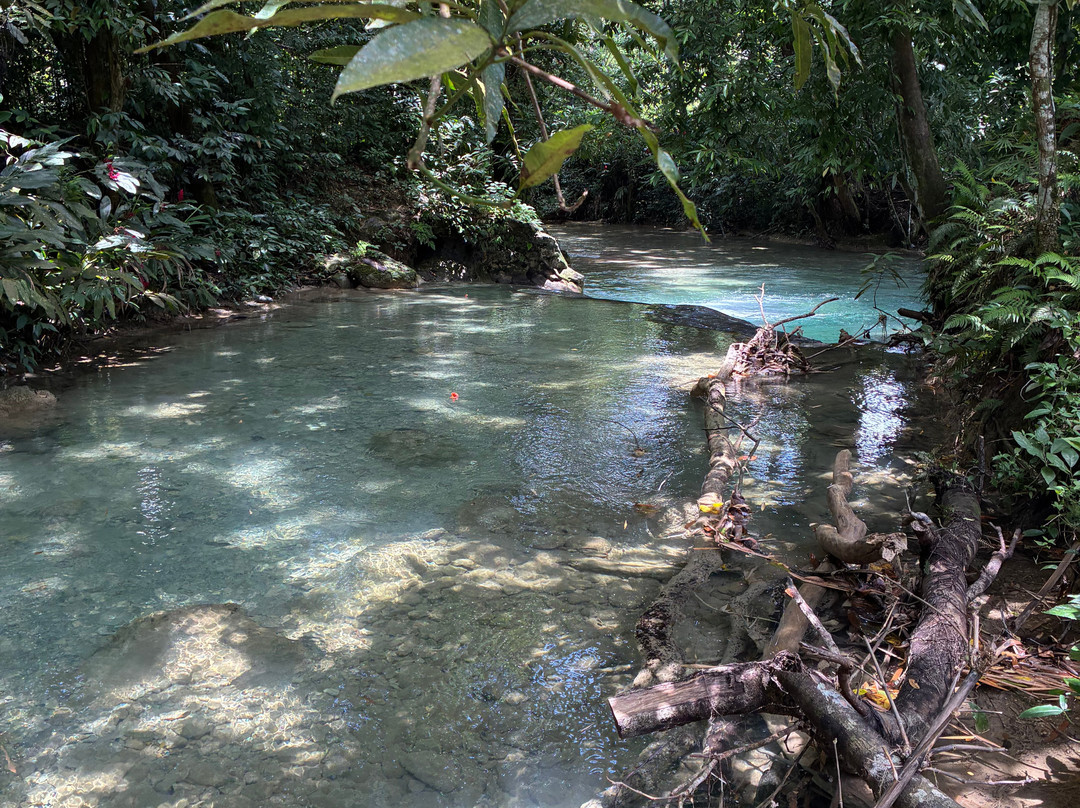 Drivers River-Portland Parish必去景点