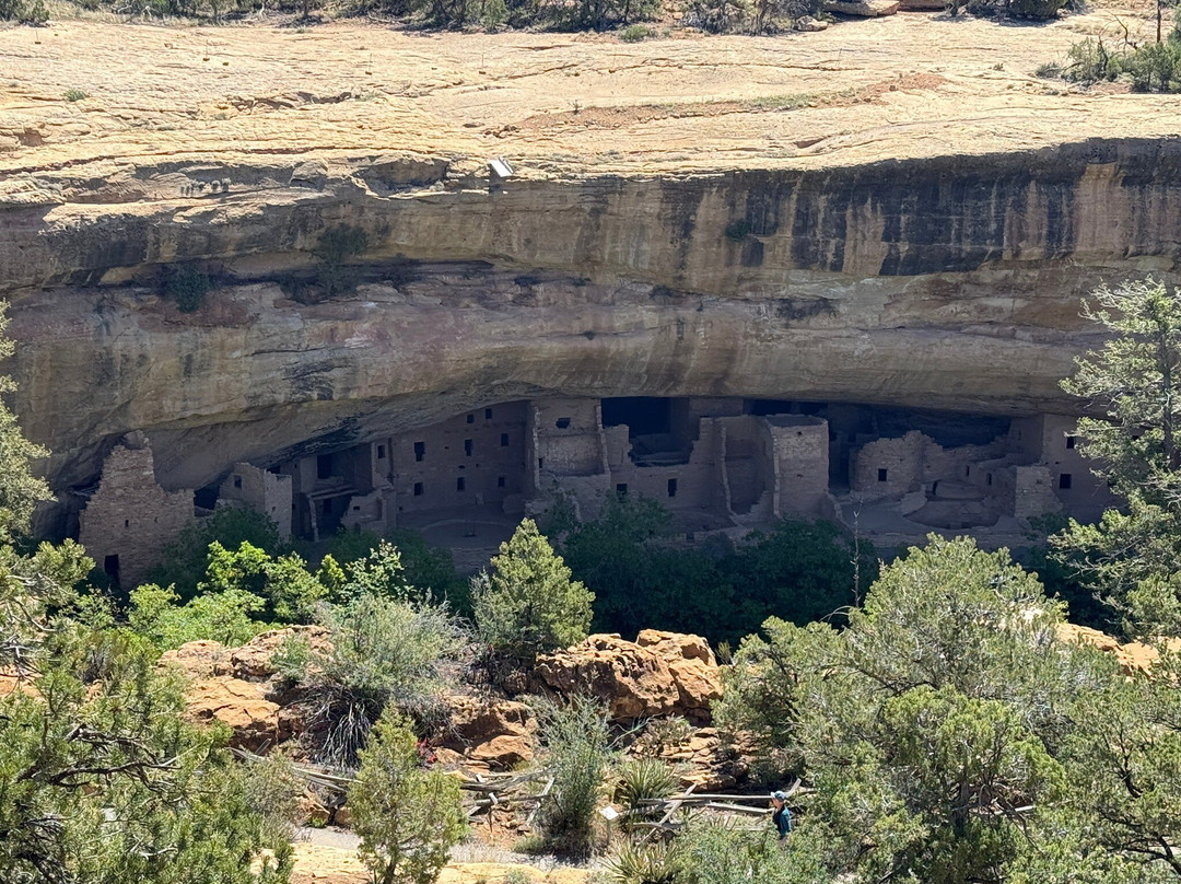 Spruce Tree House-梅萨维德国家公园必去景点