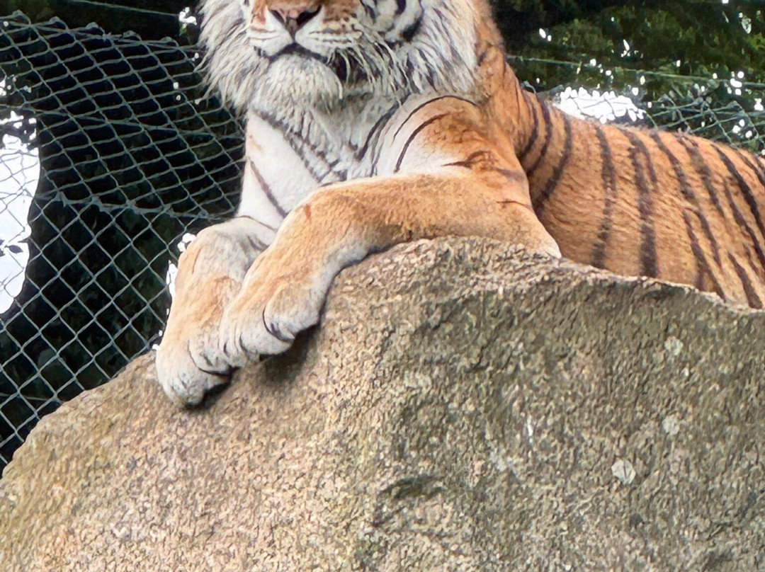 Dartmoor Zoological Society-Sparkwell必去景点