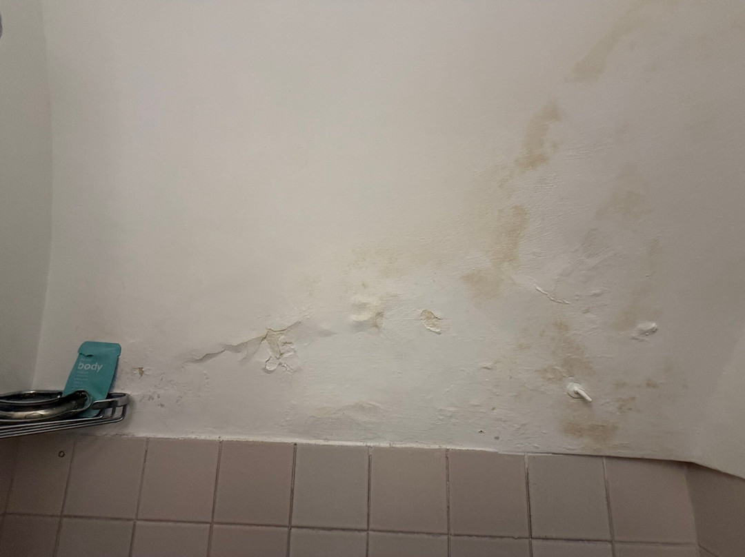Truddhi Casa e Cucina di Puglia主图