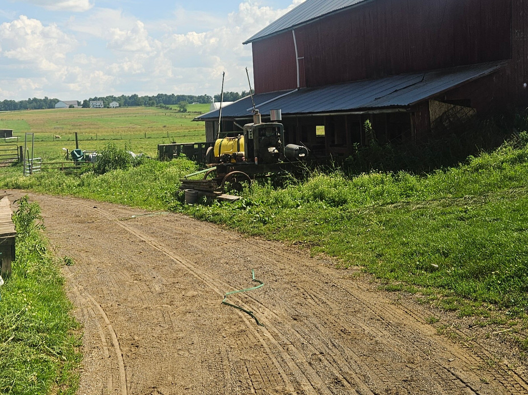 Troyer's Amish Tours-Millersburg必去景点
