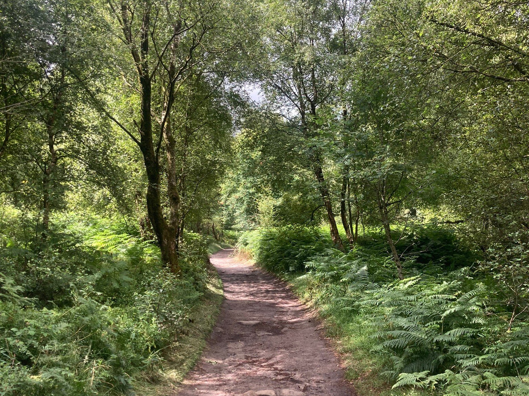 Froggatt Edge-Froggatt必去景点