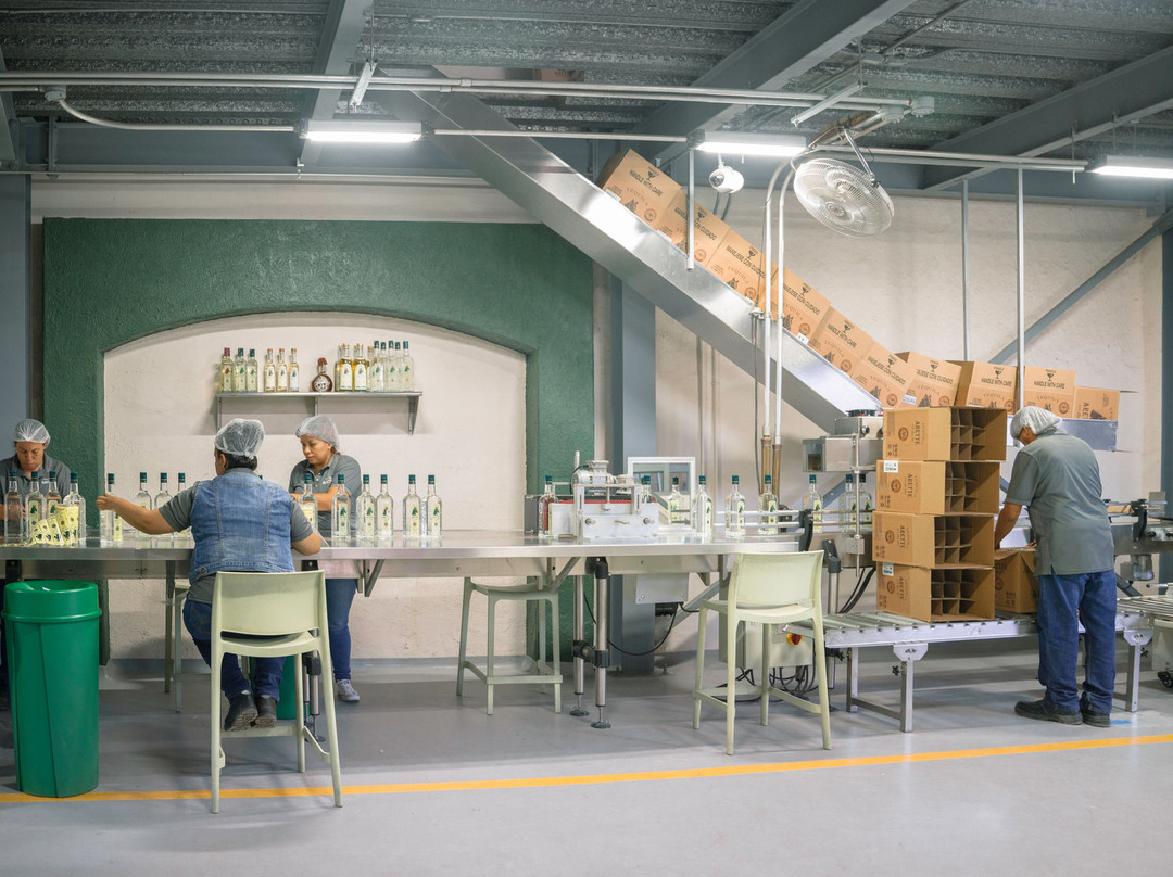 Tequila Arette-特基拉必去景点