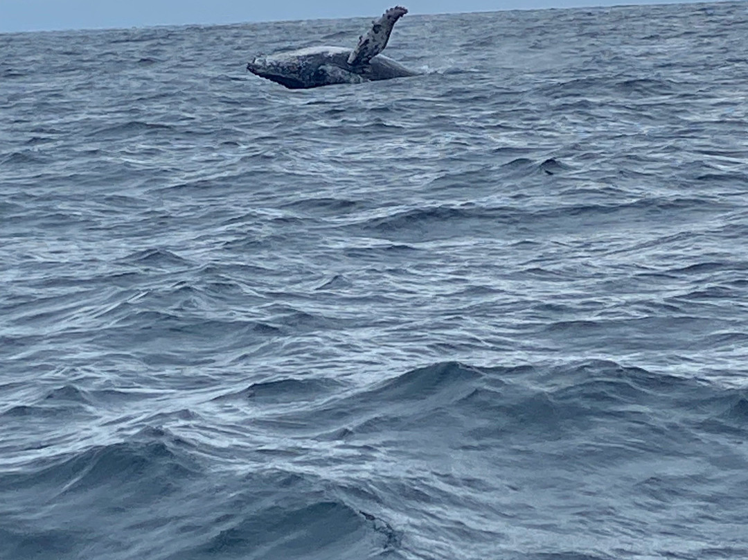 Machalilla Tours-Puerto Lopez必去景点