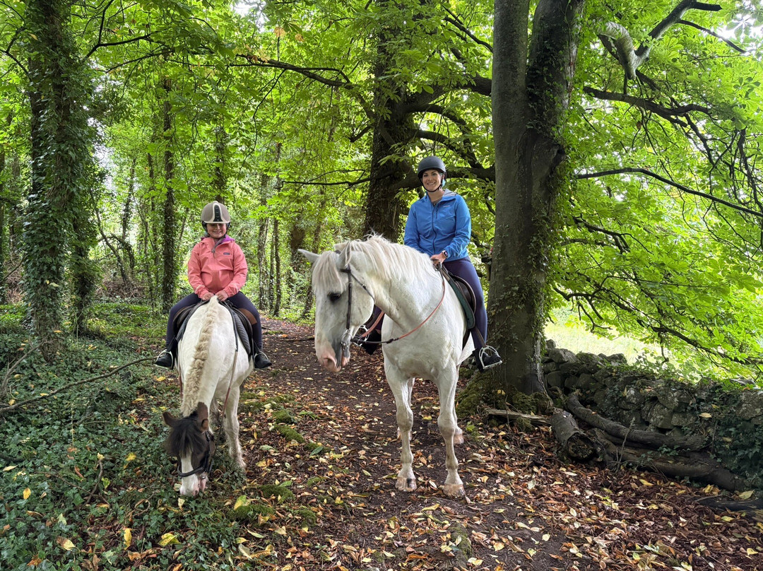 Castlefergus Equestrian-Quin必去景点