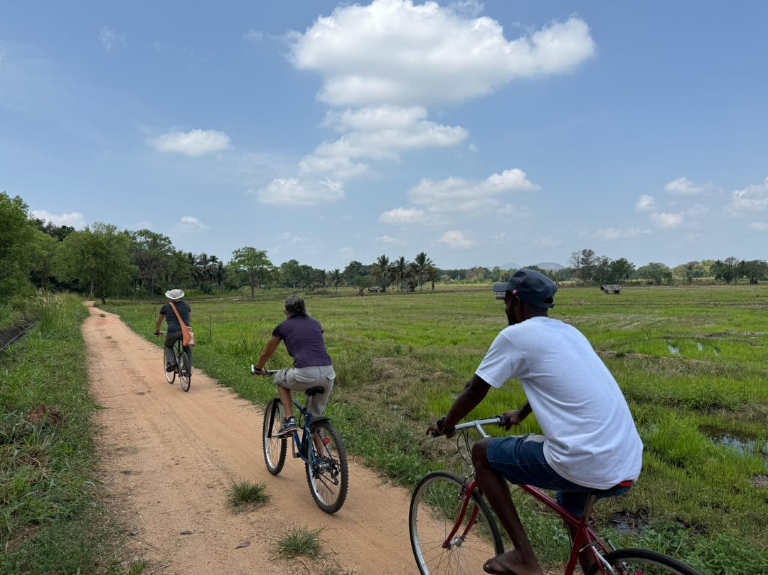 Harshana Tours-坎达拉马必去景点