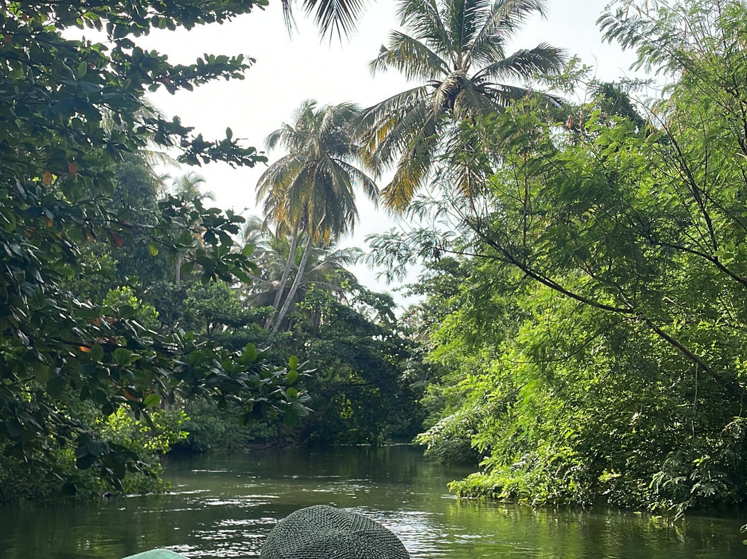 Sujith Boat Safari-Duwana必去景点