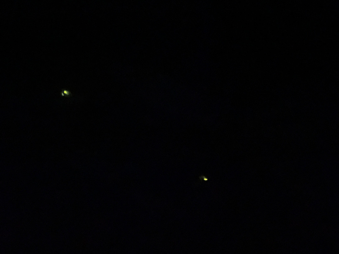 The Fire Flies Garden-吉安雅必去景点