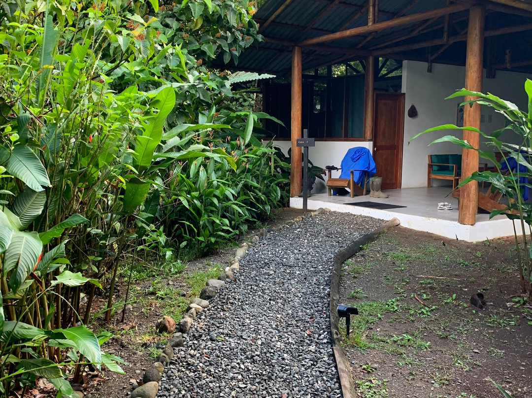 Osa Conservation Campus-希门尼斯港必去景点