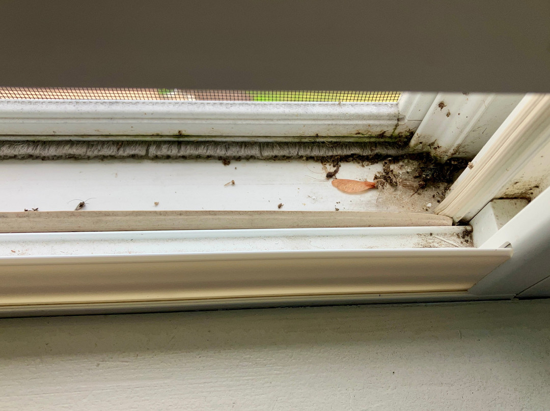 Voco Saranac Lake Ny - Waterfront By Ihg主图