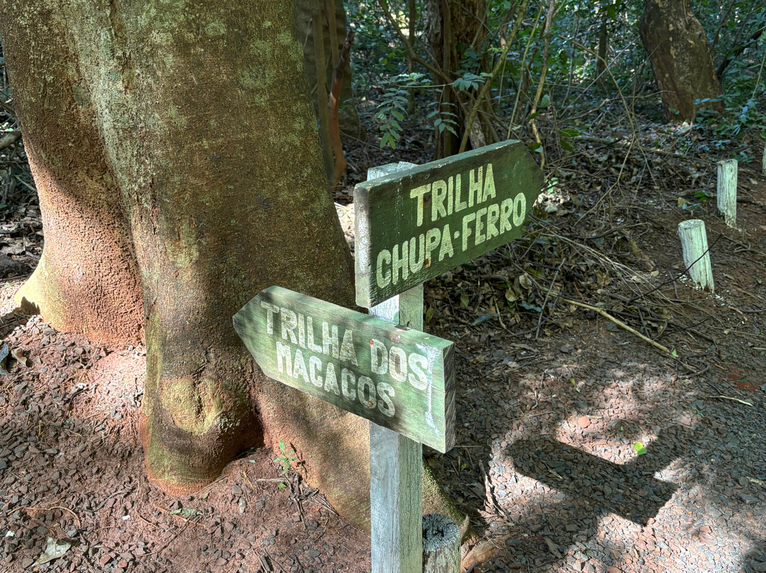 Biologa Tania Mara Netto Silva Ecological Park-Ourinhos必去景点