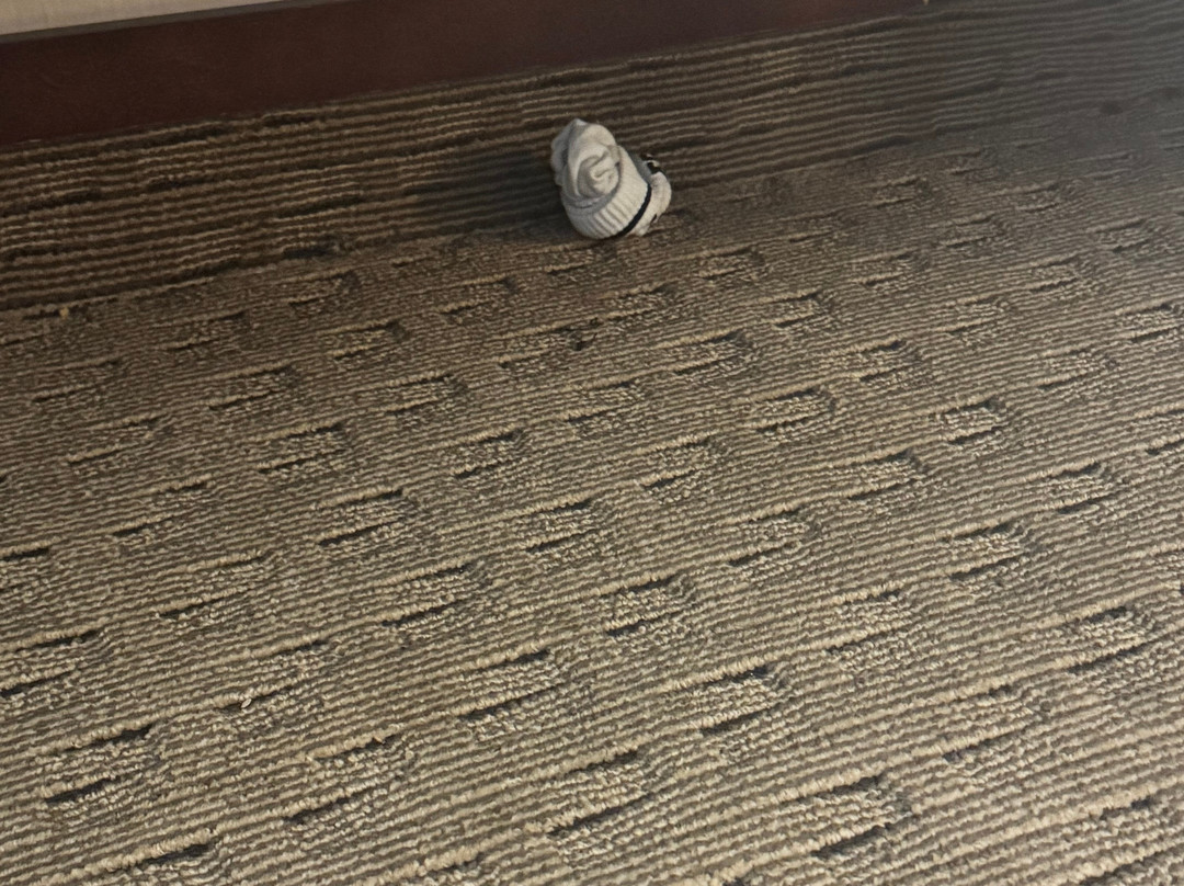 Comfort Suites Stafford Near Sugarland主图