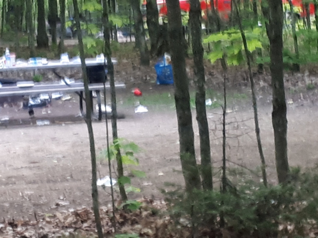 Algonquin Provincial Park-Haliburton必去景点