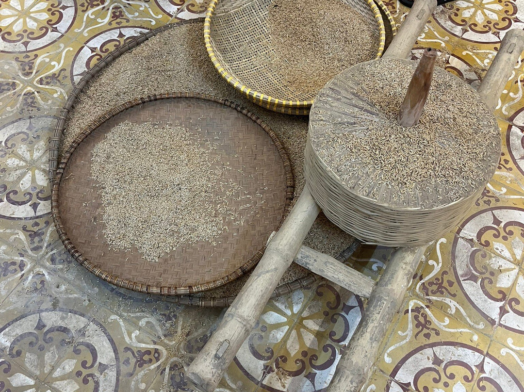 Tam Coc Museum-宁平必去景点