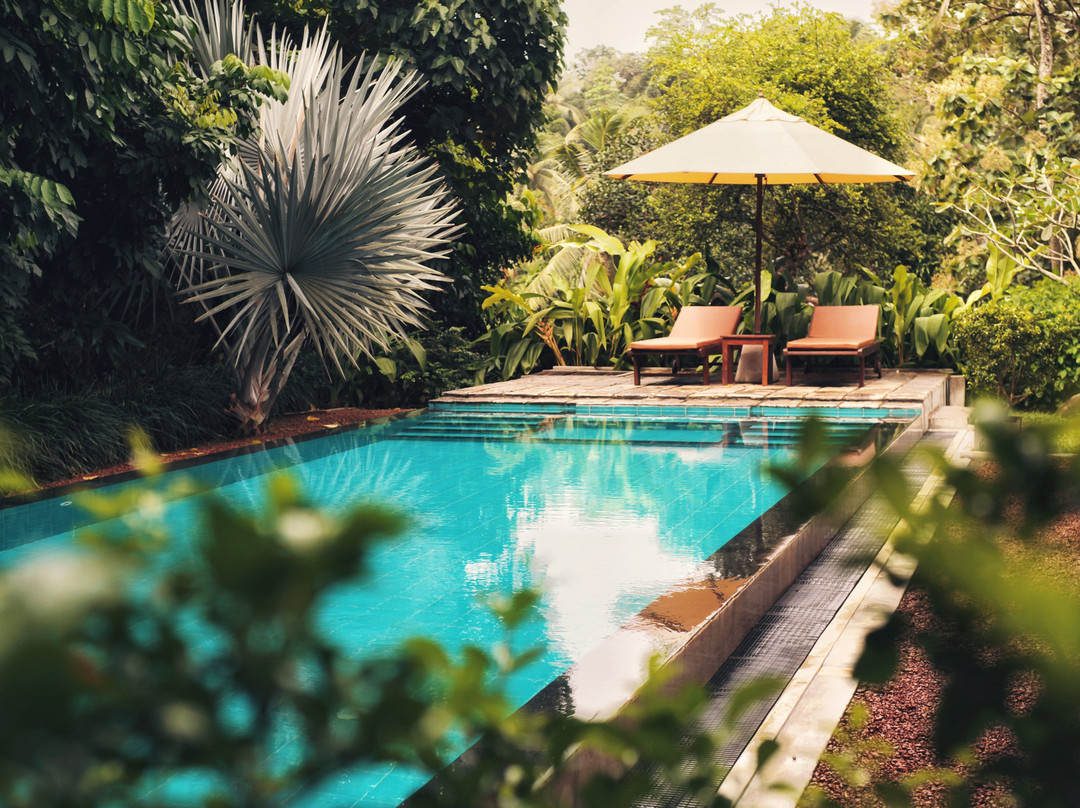 The Jungle Loft Galle主图