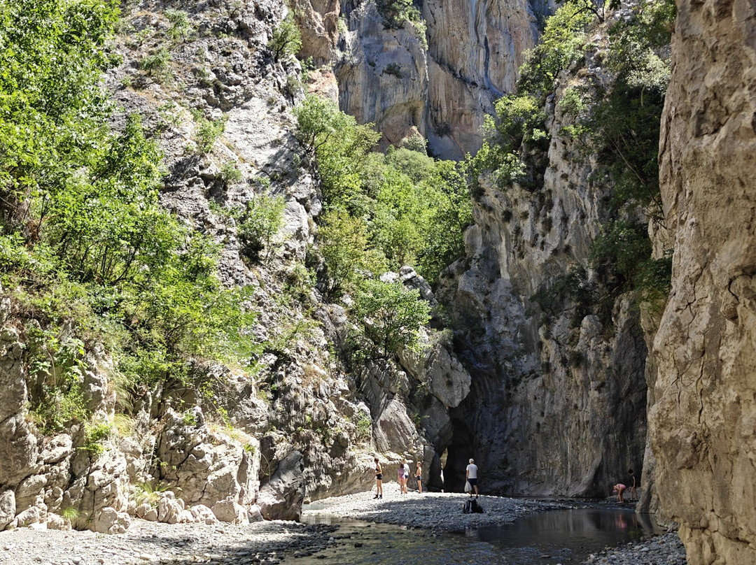 Go as Local-地拉那必去景点