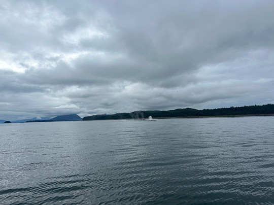 Lost in Alaska Adventures-朱诺必去景点