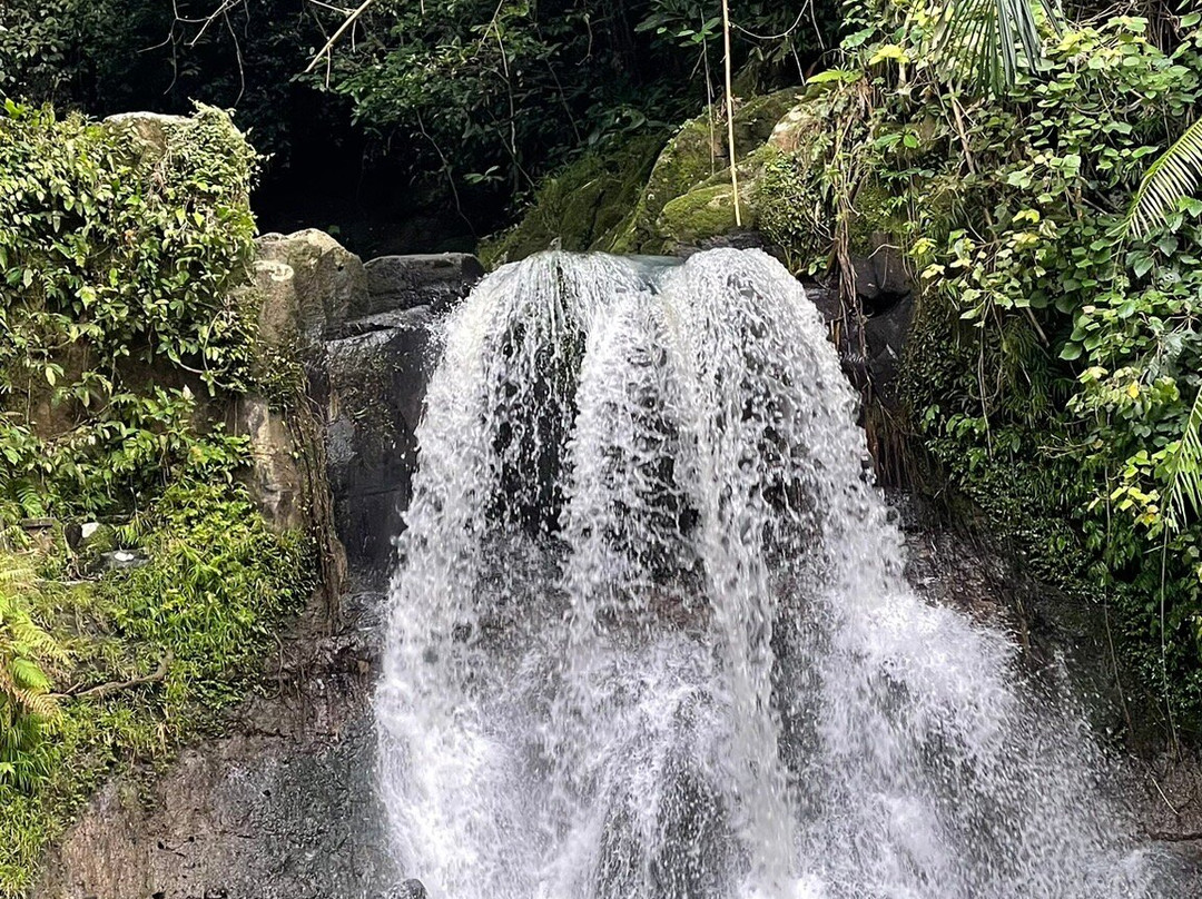 Galalima Glamping主图