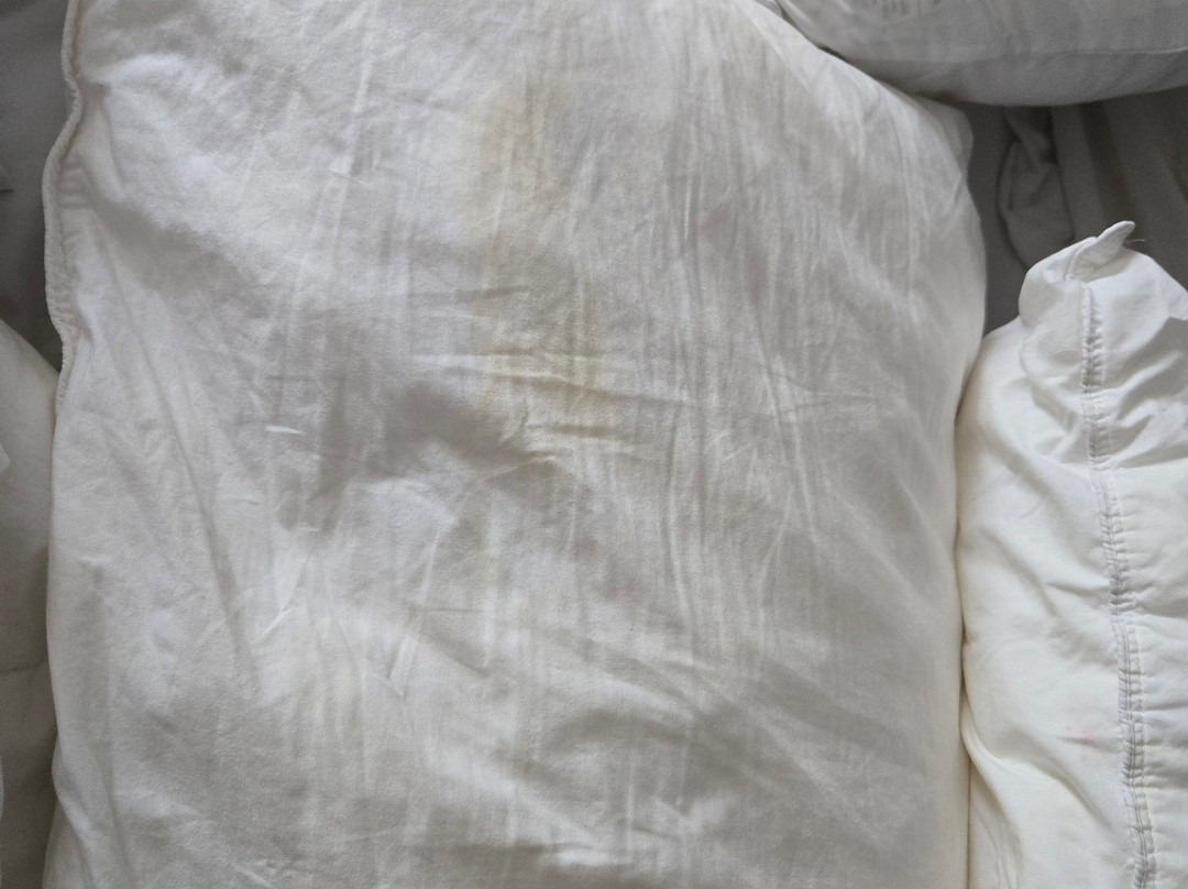 Quality Inn Williamston主图