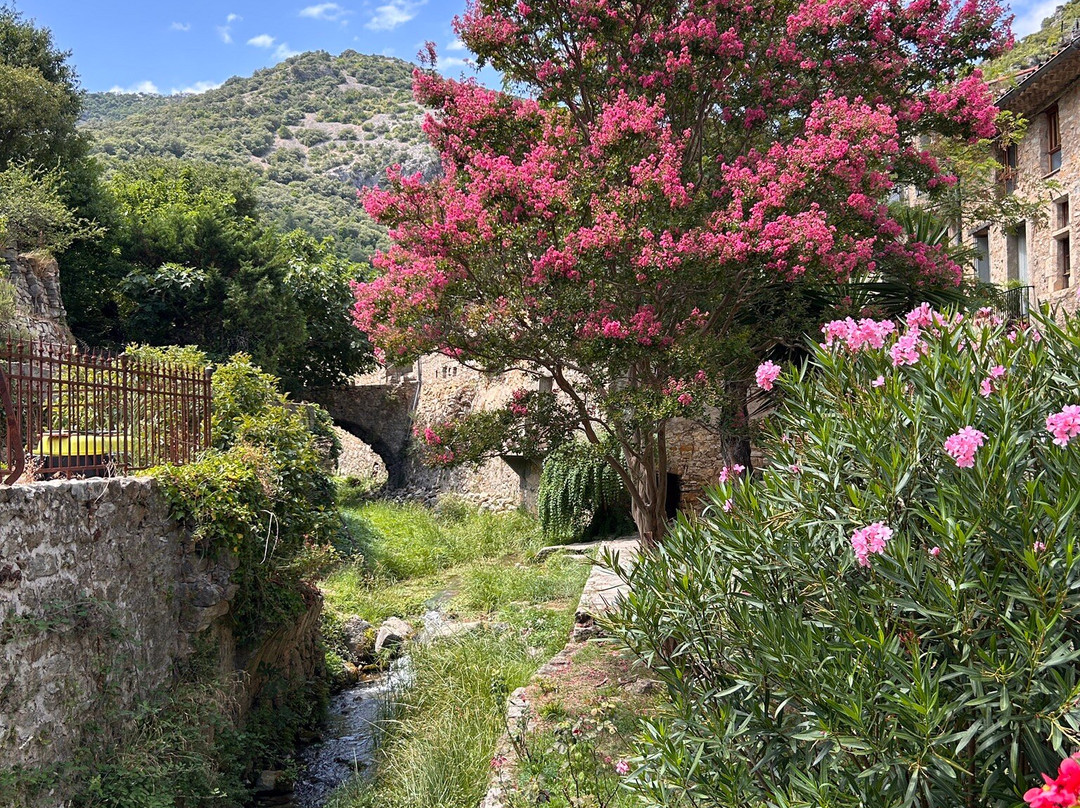 le Pont du Diable  Aniane-Aniane必去景点