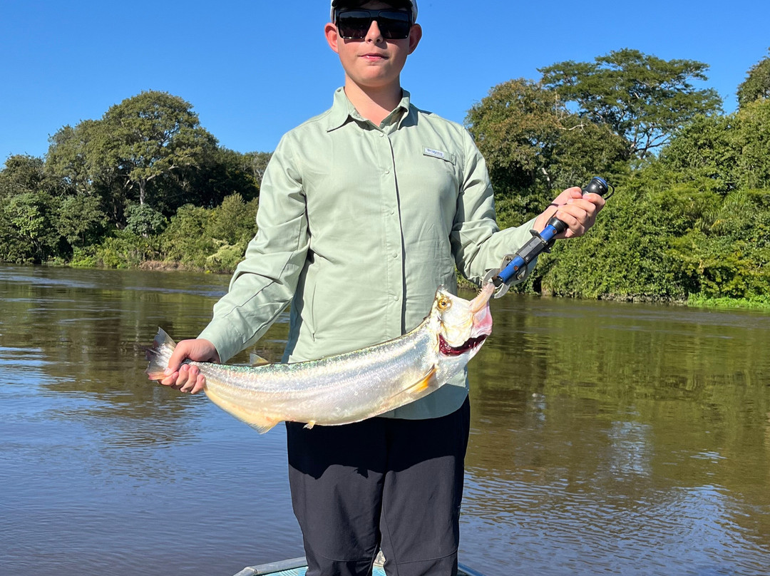 Paraiso Da Pesca主图