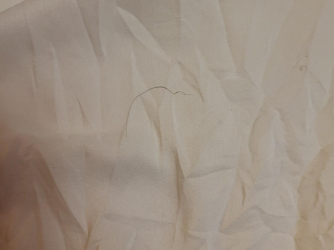 Premiere Classe Macon主图