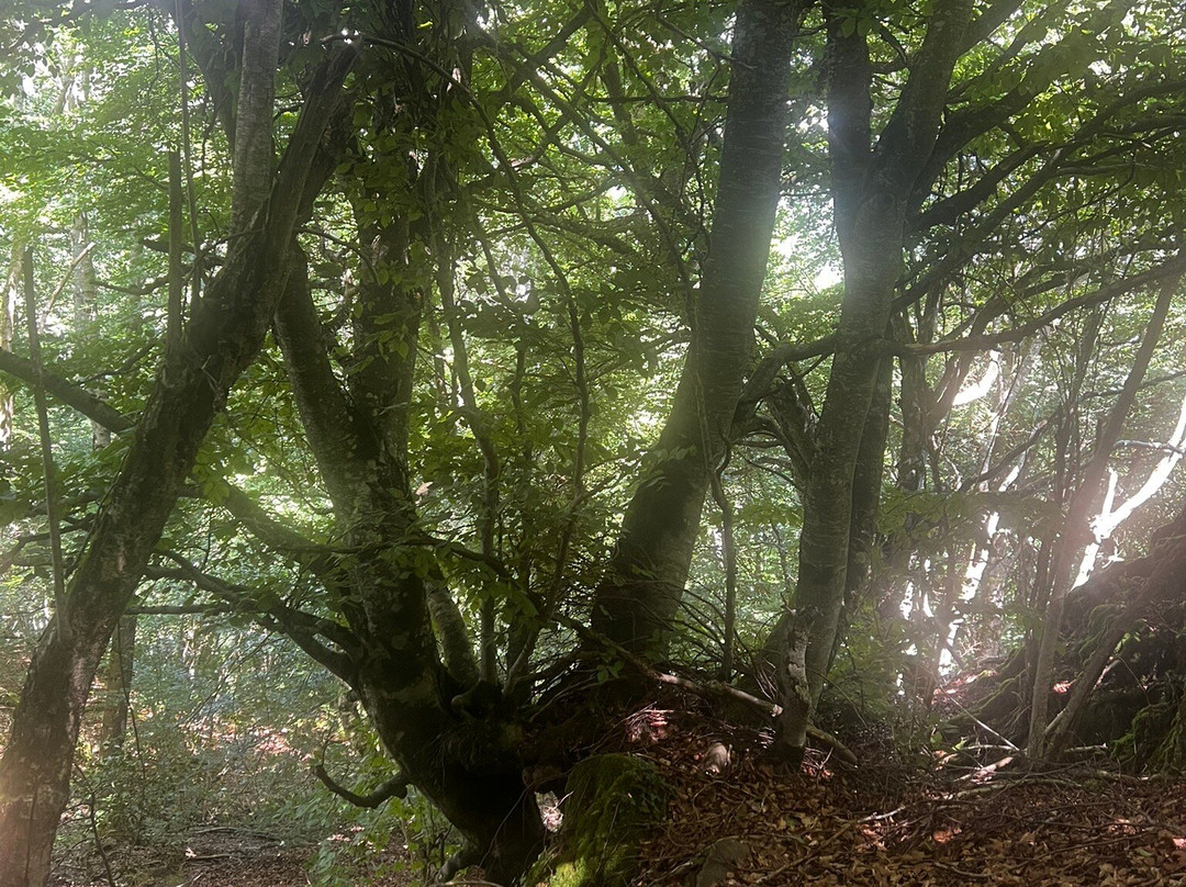 Valle de Carlac-Bausen必去景点